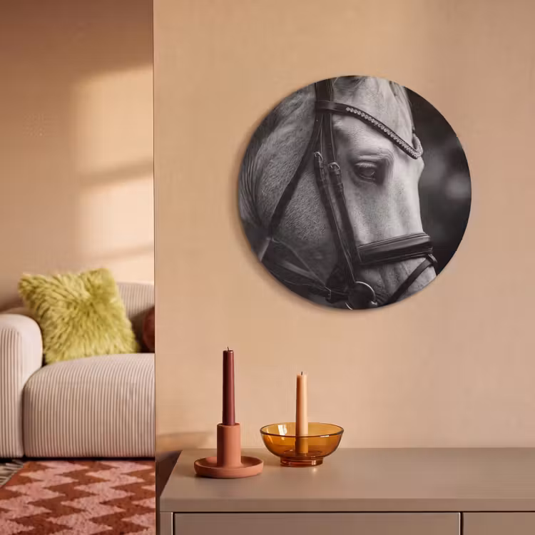 Akoestisch schilderij rond - Paard - Schimmel - Portret — 3