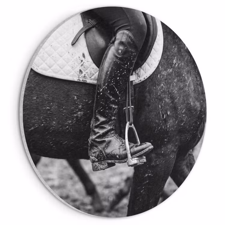 Akoestisch schilderij rond - Paard - Sport - Zwart - Wit — 1