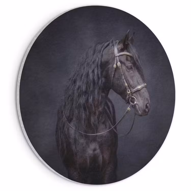 Akoestisch schilderij rond - Portret - Paard - Donker — 1