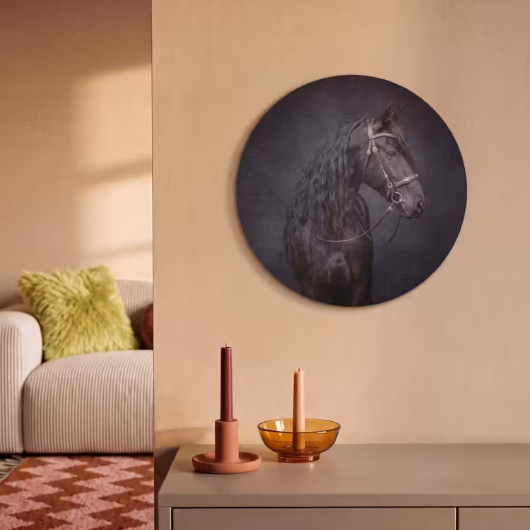 Akoestisch schilderij rond - Portret - Paard - Donker — 3
