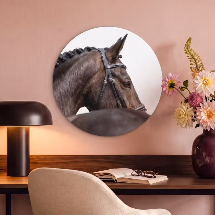 Akoestisch schilderij rond - Portret - Paard - Elegant — 2