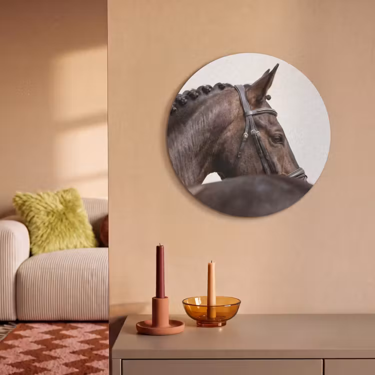 Akoestisch schilderij rond - Portret - Paard - Elegant — 3