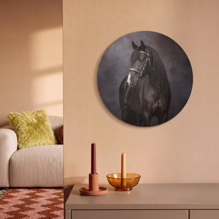 Akoestisch schilderij rond - Portret - Paard - Zwart — 3