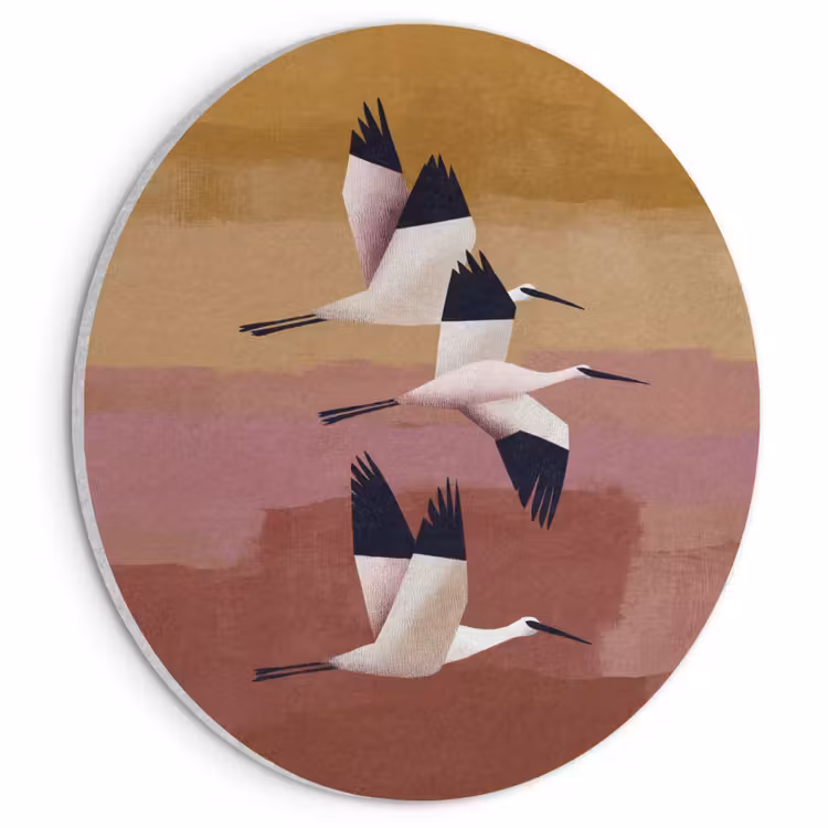 Akoestisch schilderij rond - Vogels - Snavel - Abstract — 1