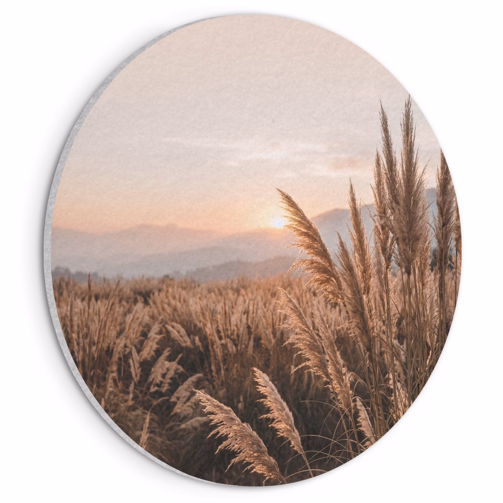 Akoestisch schilderij rond - Gras - Veld - Zon - Natuur — 1