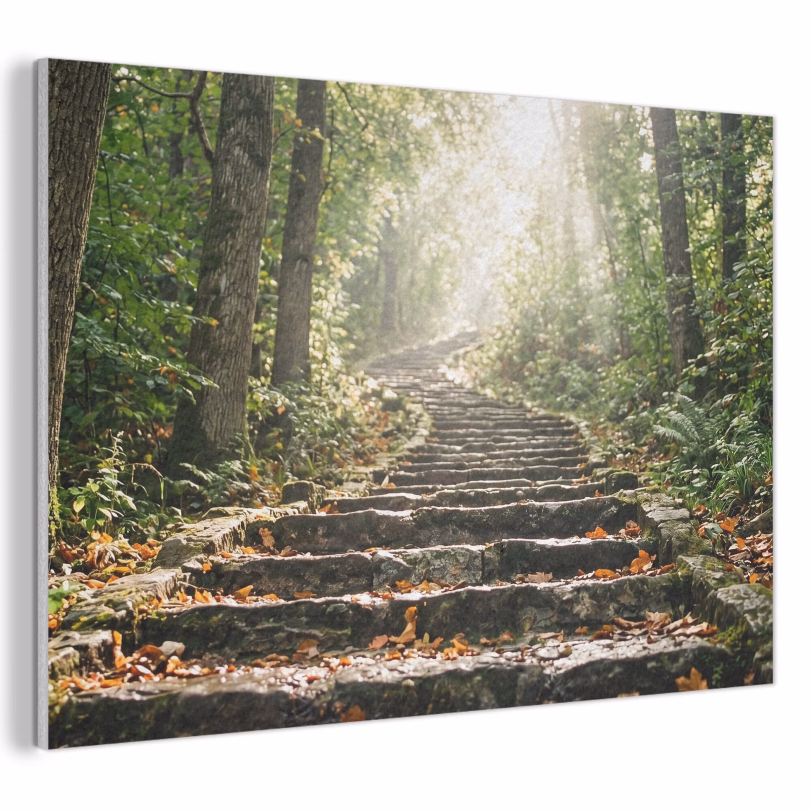 Akoestisch schilderij - Stenen - Trap - Bos - Natuur — 1