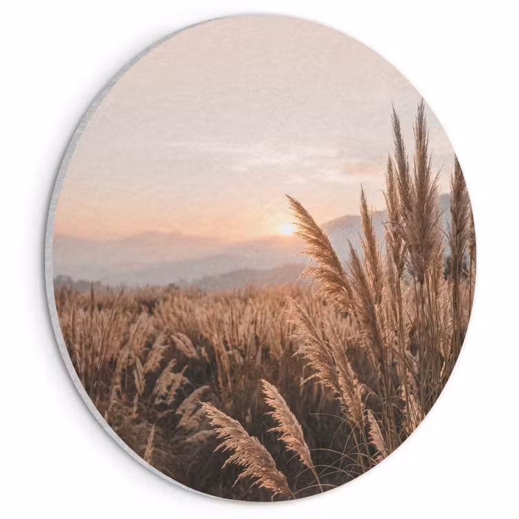 Akoestisch schilderij rond - Gras - Veld - Zon - Natuur — 1