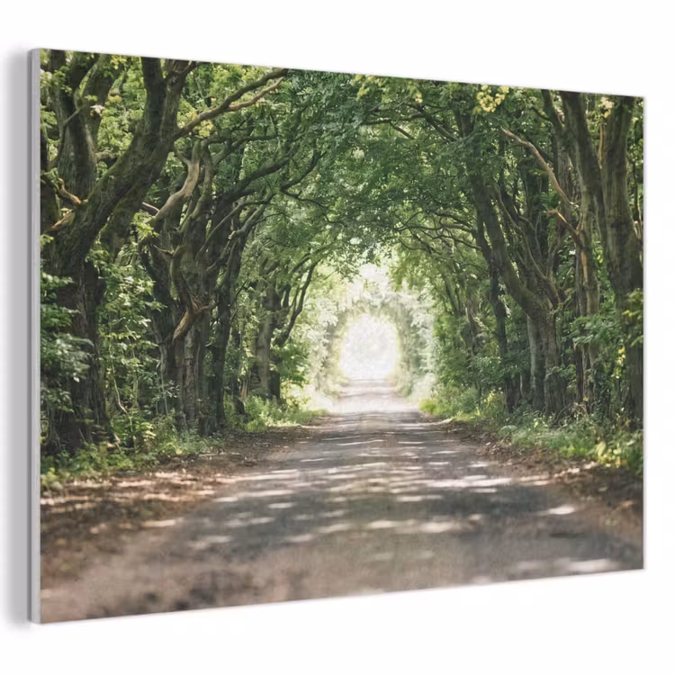 Akoestisch schilderij - Weg - Bomen - Natuur - Groen — 1