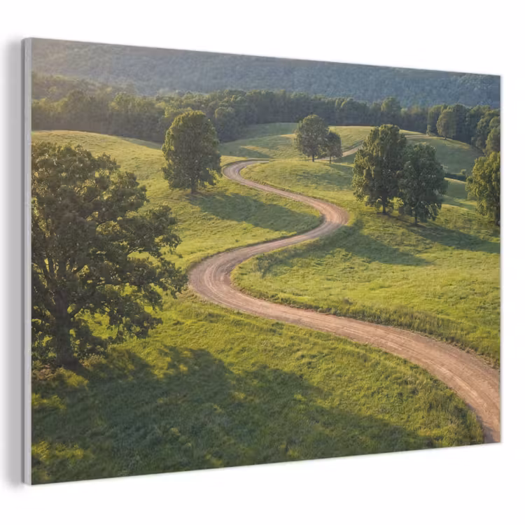 Akoestisch schilderij - Weg - Weide - Natuur - Groen — 1