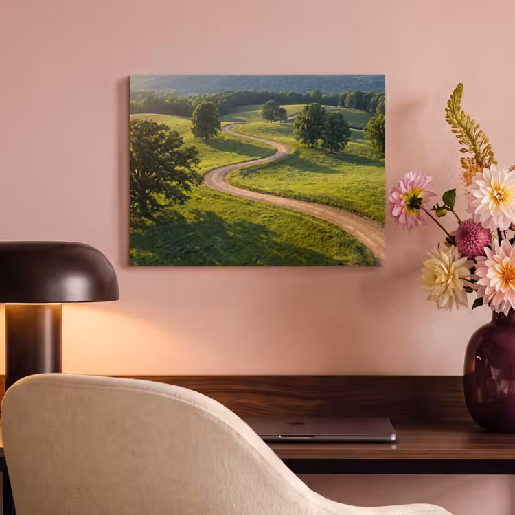 Akoestisch schilderij - Weg - Weide - Natuur - Groen — 4