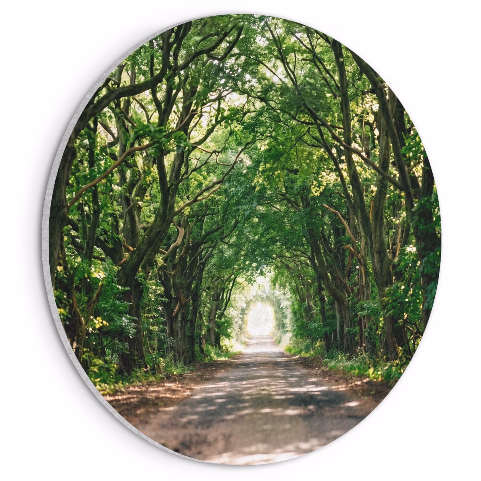 Akoestisch schilderij rond - Weg - Bomen - Natuur - Groen — 1