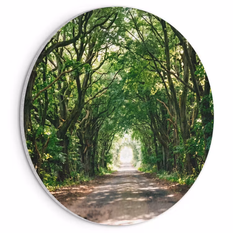 Akoestisch schilderij rond - Weg - Bomen - Natuur - Groen — 1