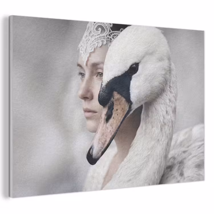 Akoestisch schilderij - Vrouw - Zwaan - Wit — 1