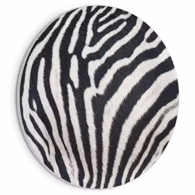 Akoestisch schilderij rond - Zebra - Vacht - Klassiek - Zwart - Wit — 1