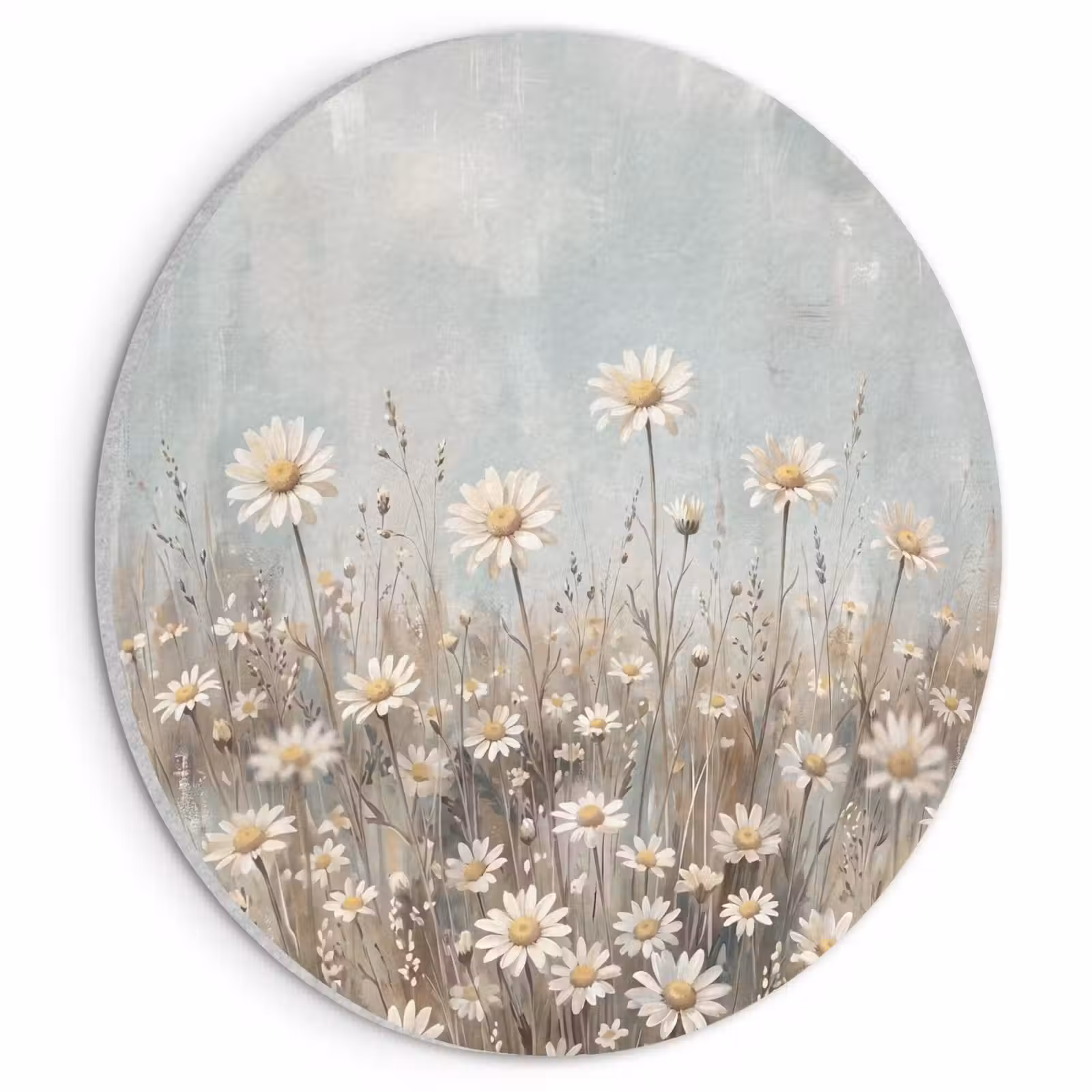 Akoestisch schilderij rond - Madelief - Illustratie - Wit — 1