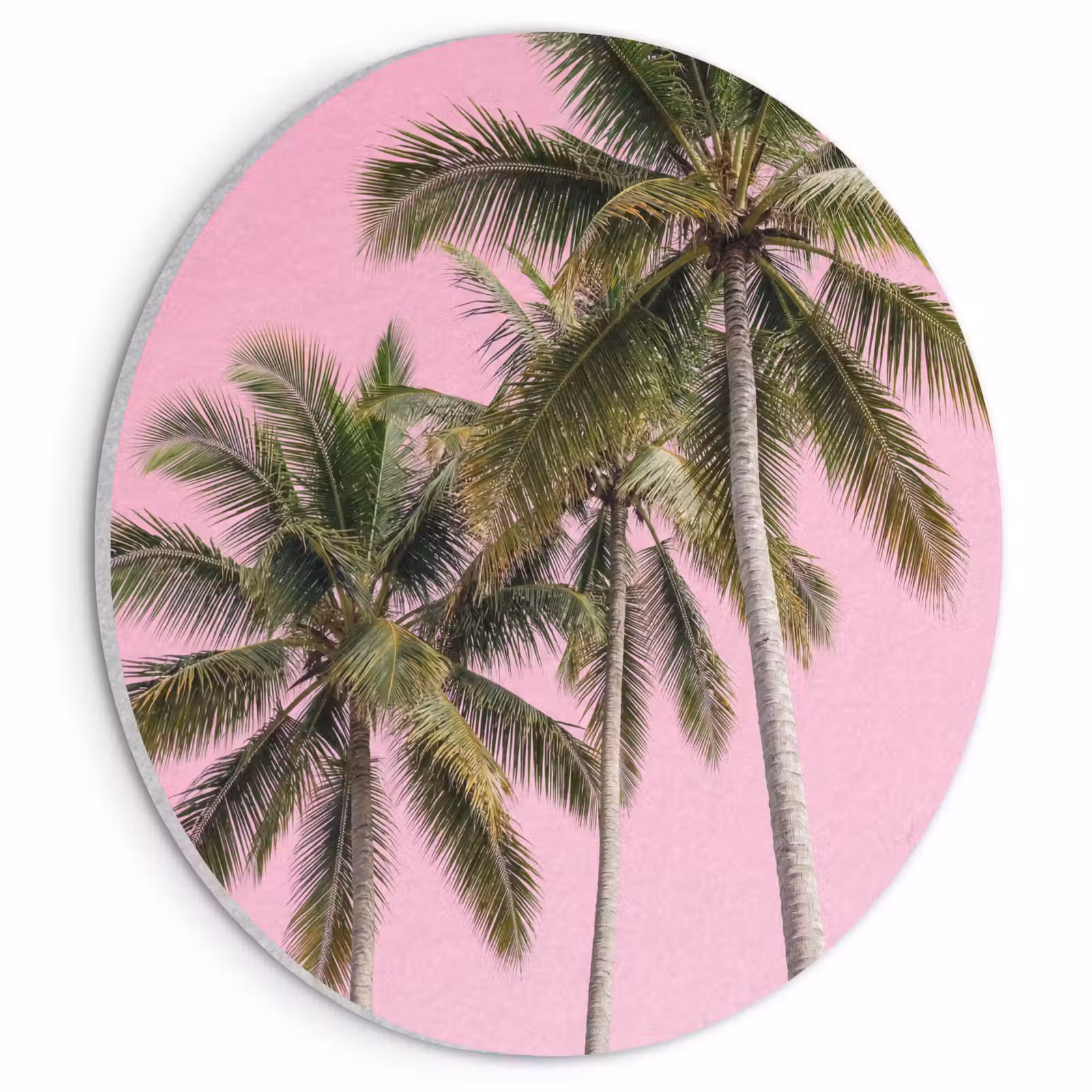 Akoestisch schilderij rond - Palmboom - Tropisch - Pink — 1