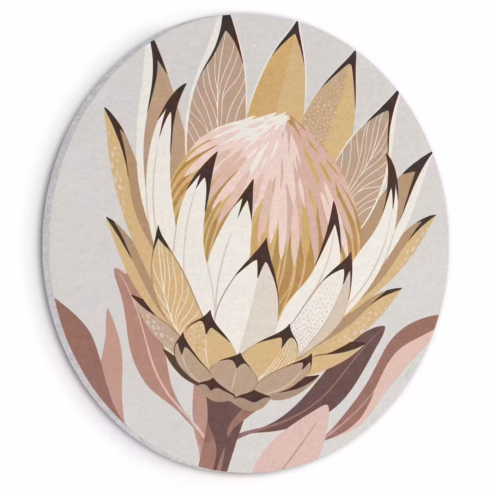Akoestisch schilderij rond - Protea - Bloem - Botanisch - Beige — 1