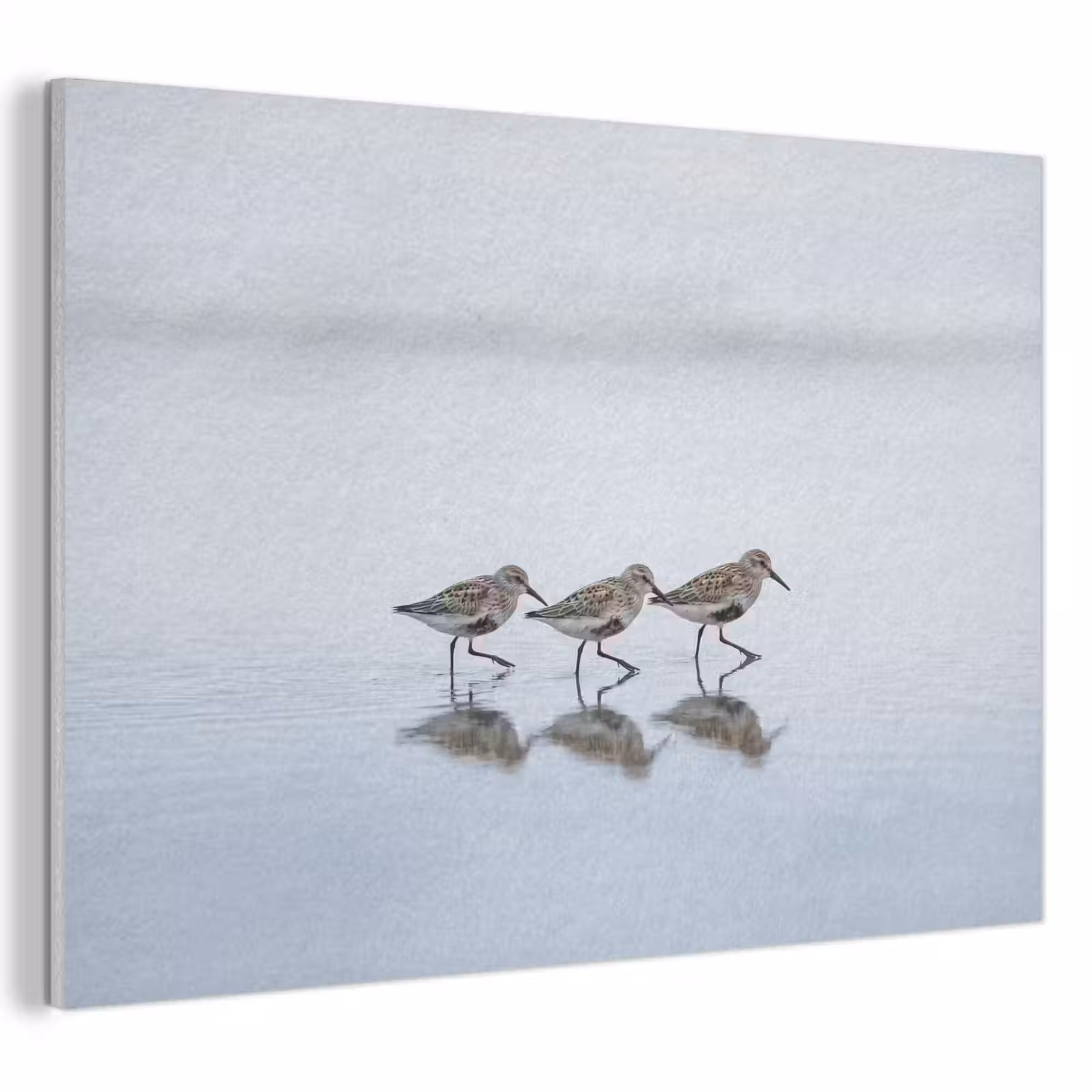Akoestisch schilderij - Vogels - Water - Grijs — 1
