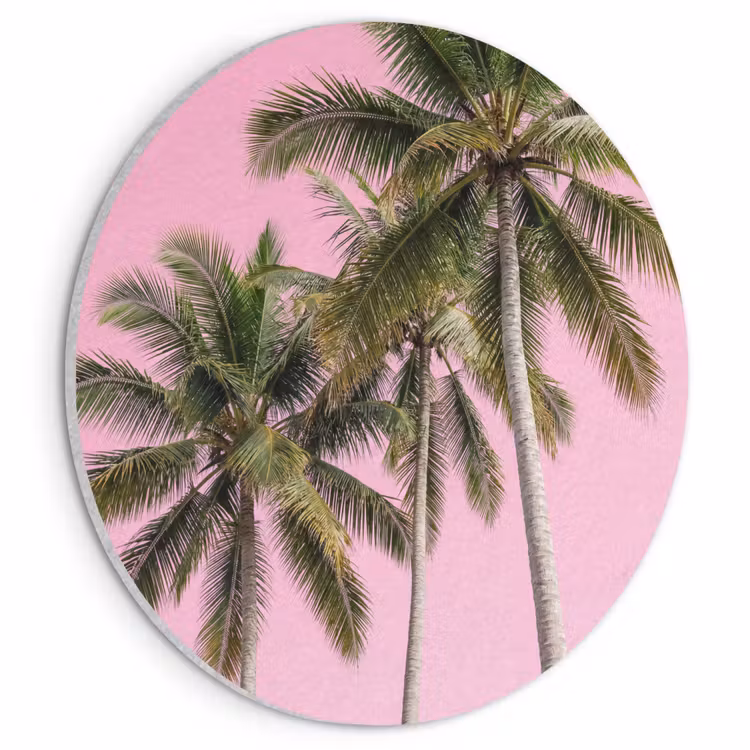 Akoestisch schilderij rond - Palmboom - Tropisch - Pink — 1