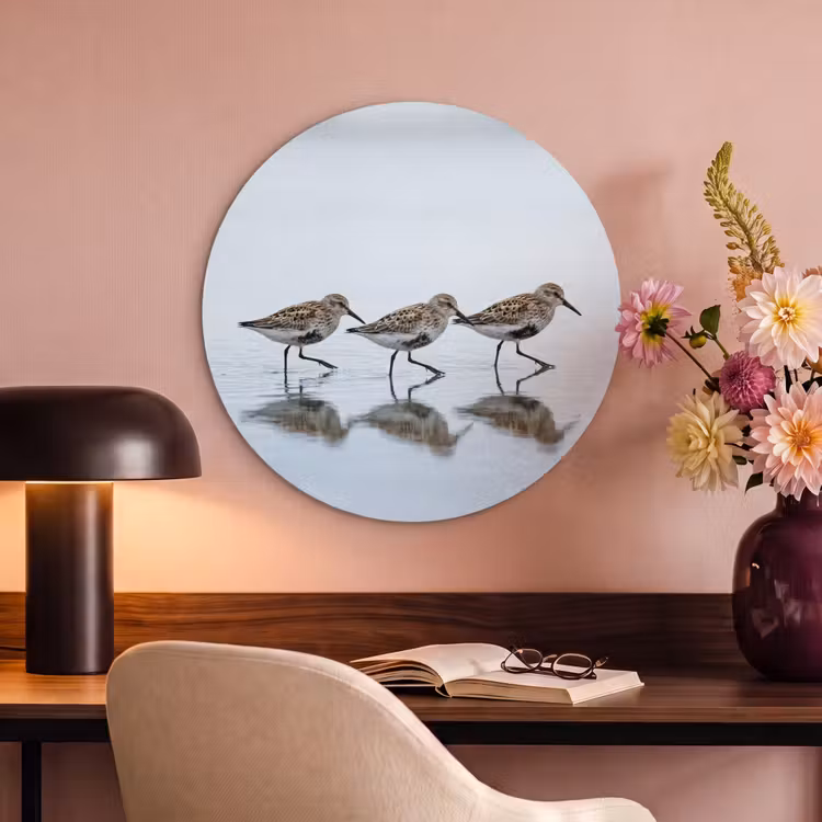 Akoestisch schilderij rond - Vogels - Water - Grijs — 2