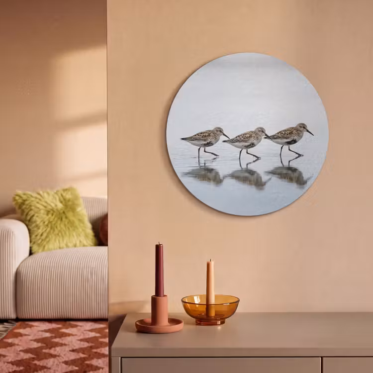 Akoestisch schilderij rond - Vogels - Water - Grijs — 3