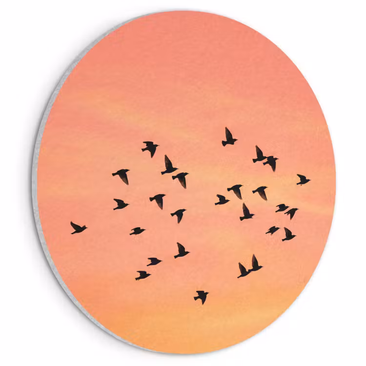 Akoestisch schilderij rond - Zwerm - Vogels - Oranje — 1