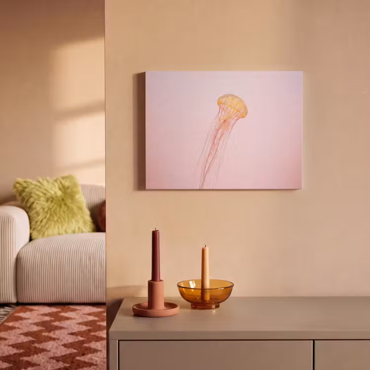 Akoestisch schilderij - Sierlijk - Kwal - Roze — 2