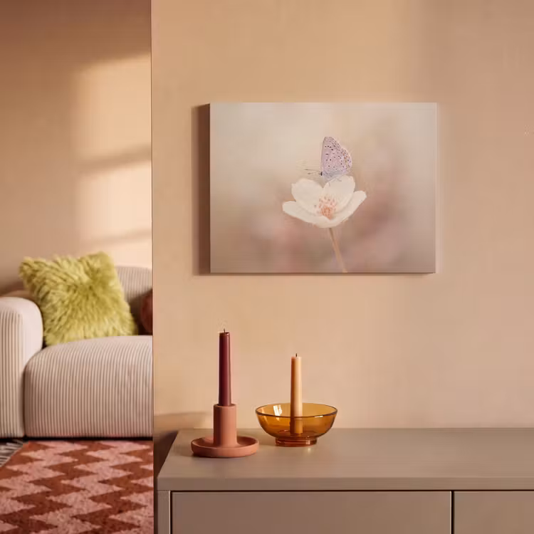 Akoestisch schilderij - Vlinder - Bloem - Blauw — 2