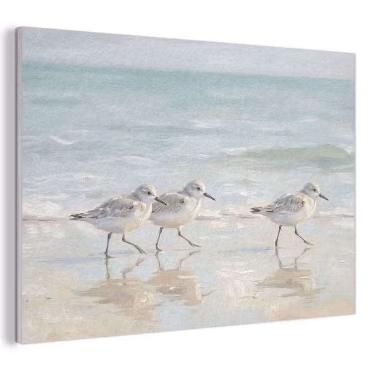 Akoestisch schilderij - Vogels - Strand - Zee — 1