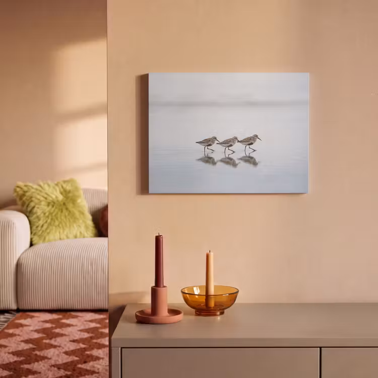 Akoestisch schilderij - Vogels - Water - Grijs — 2