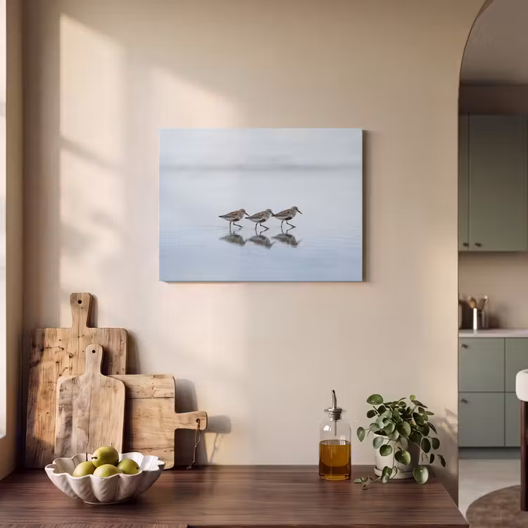 Akoestisch schilderij - Vogels - Water - Grijs — 3