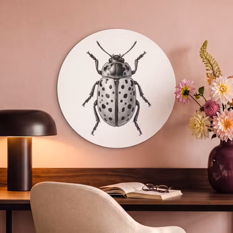 Akoestisch schilderij rond - Kever - Insect - Vintage — 2