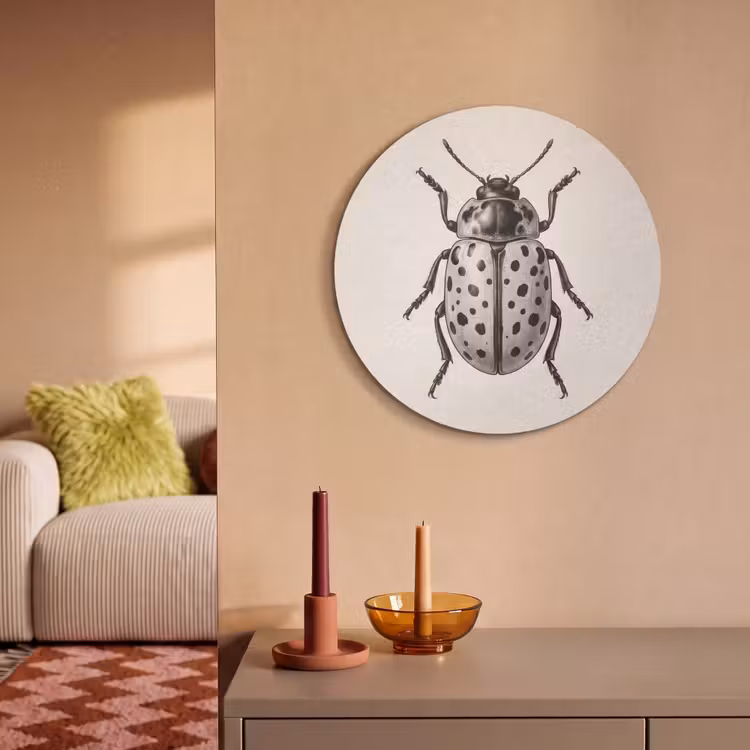 Akoestisch schilderij rond - Kever - Insect - Vintage — 3