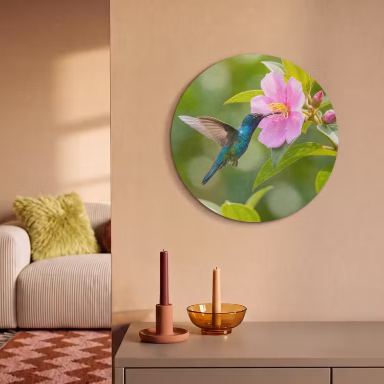 Akoestisch schilderij rond - Kolibrie - Bloem - Natuur - Groen — 3
