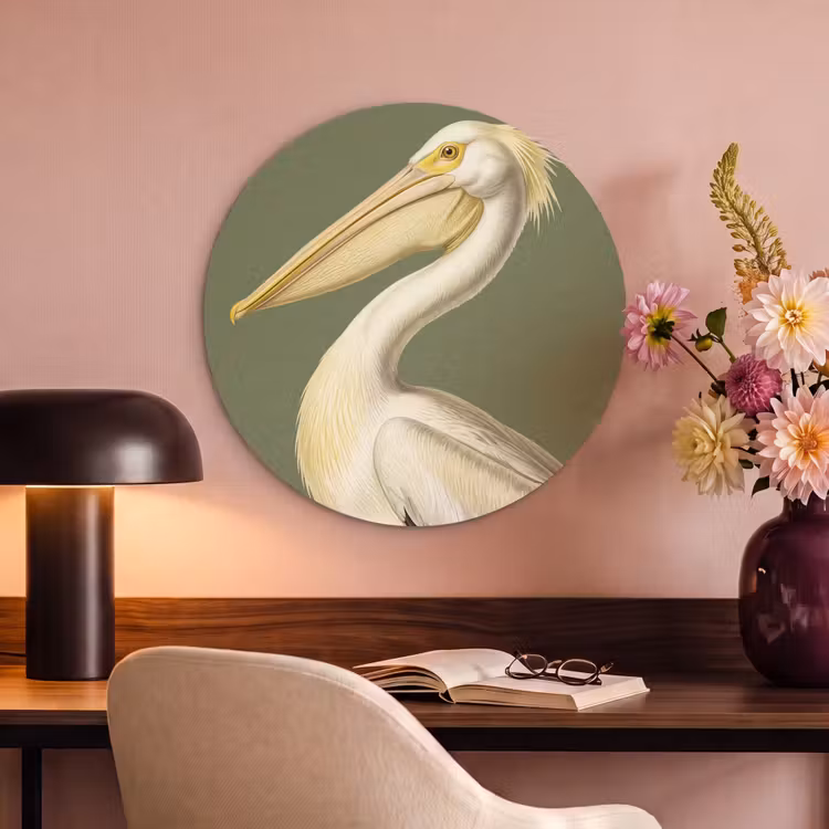 Akoestisch schilderij rond - Pelikaan - Wit - Vogel - Klassiek - Natuur — 2