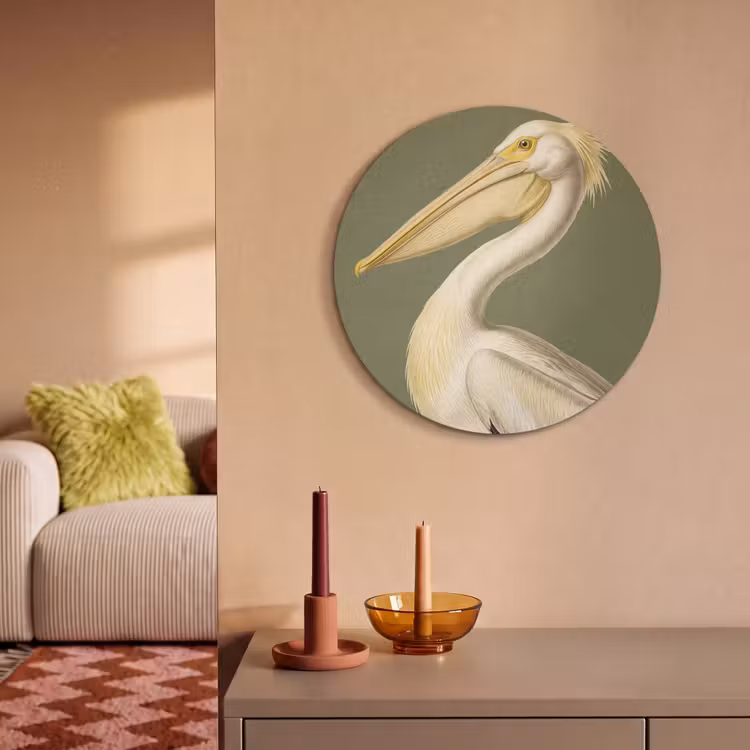 Akoestisch schilderij rond - Pelikaan - Wit - Vogel - Klassiek - Natuur — 3