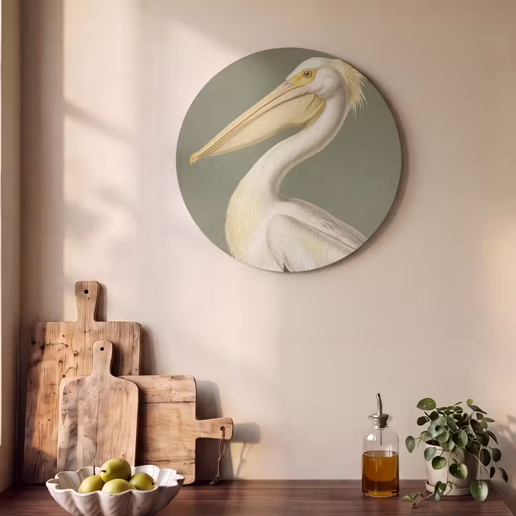 Akoestisch schilderij rond - Pelikaan - Wit - Vogel - Klassiek - Natuur — 4