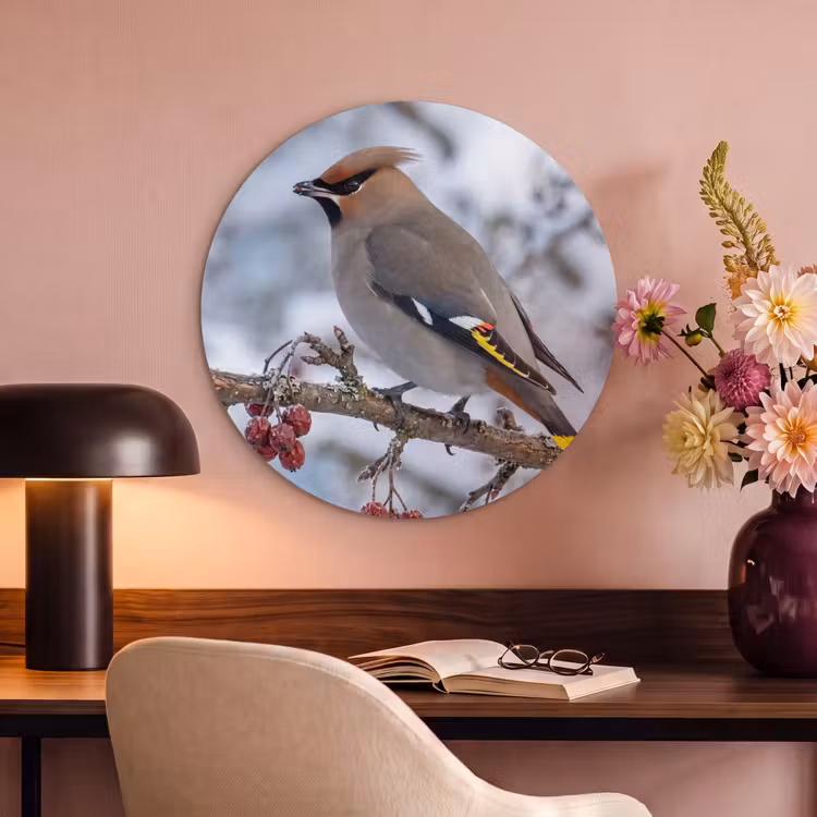 Akoestisch schilderij rond - Pestvogel - Bessen - Winter - Natuur — 2