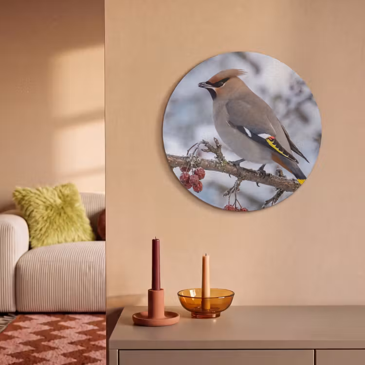 Akoestisch schilderij rond - Pestvogel - Bessen - Winter - Natuur — 3