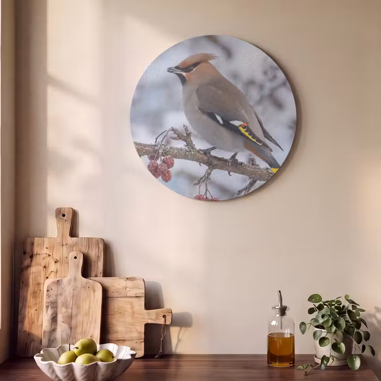 Akoestisch schilderij rond - Pestvogel - Bessen - Winter - Natuur — 4