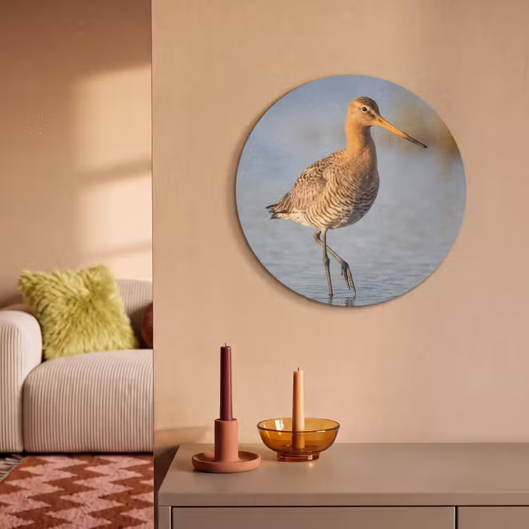 Akoestisch schilderij rond - Vogel - Steltloper - Water - Natuur — 3