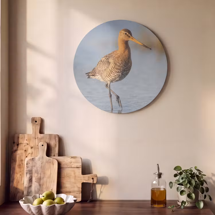 Akoestisch schilderij rond - Vogel - Steltloper - Water - Natuur — 4