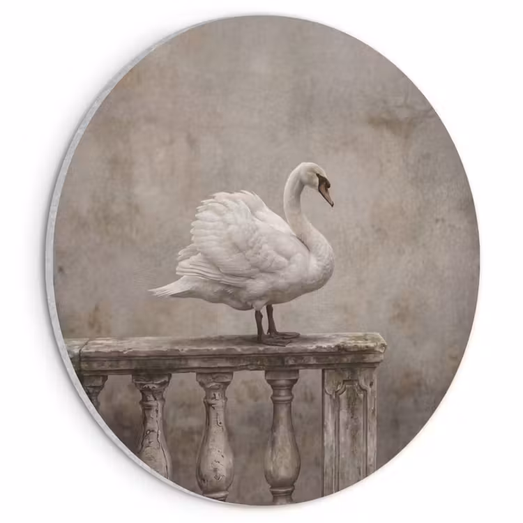 Akoestisch schilderij rond - Zwaan - Elegant - Dieren - Wit — 1