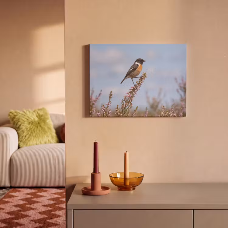 Akoestisch schilderij - Roodborsttapuit - Heide - Paars - Natuur - Sfeervol — 2
