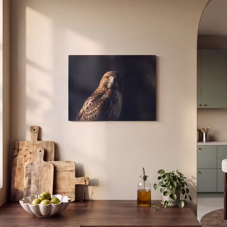Akoestisch schilderij - Roofvogel - Buizerd - Bruin — 3