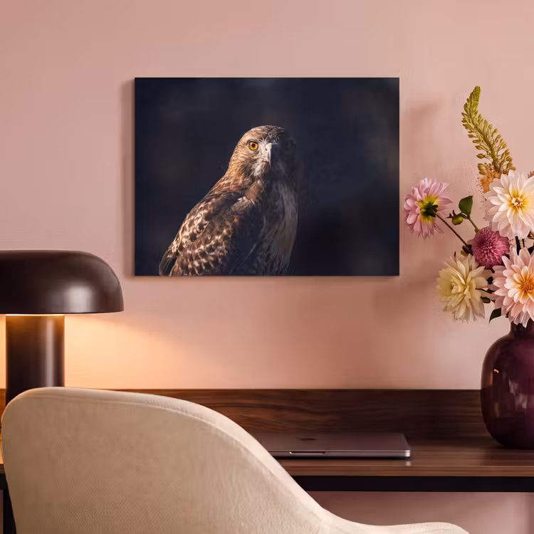 Akoestisch schilderij - Roofvogel - Buizerd - Bruin — 4