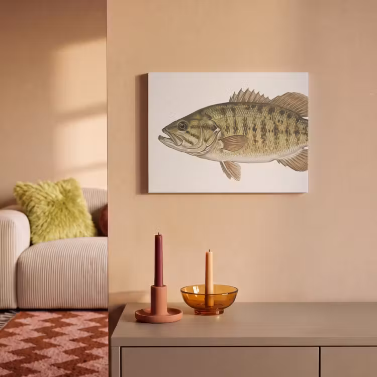 Akoestisch schilderij - Vissen - Natuur - Vintage — 2