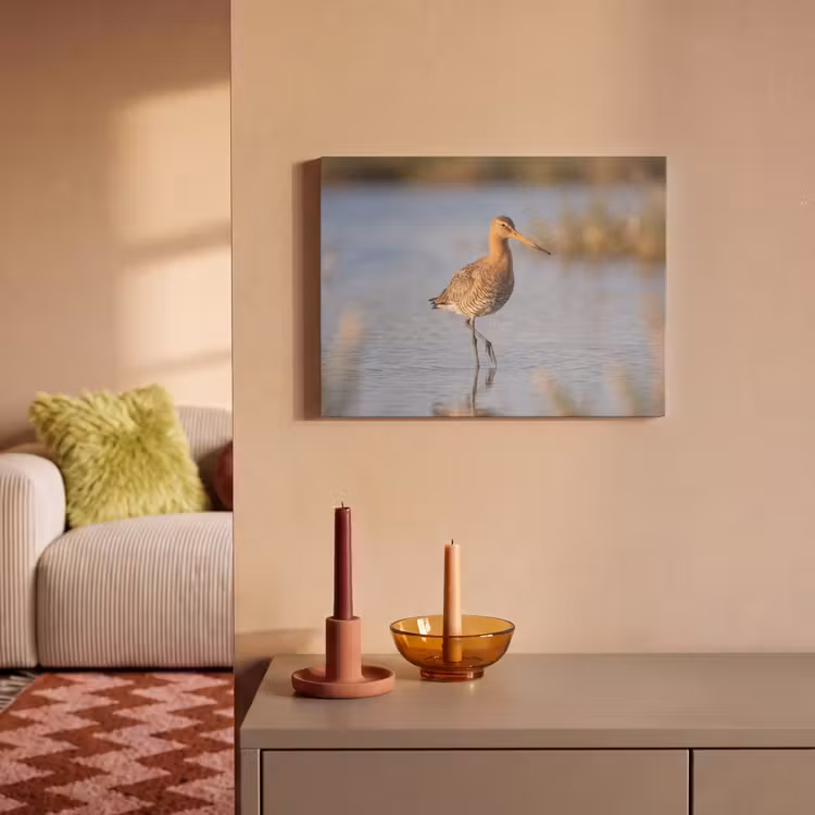 Akoestisch schilderij - Vogel - Steltloper - Water - Natuur — 2