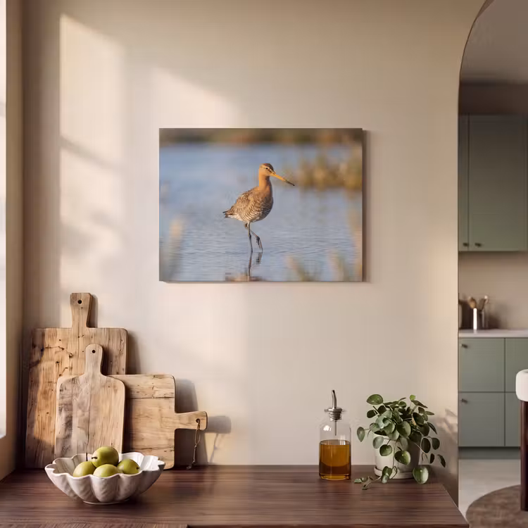 Akoestisch schilderij - Vogel - Steltloper - Water - Natuur — 3