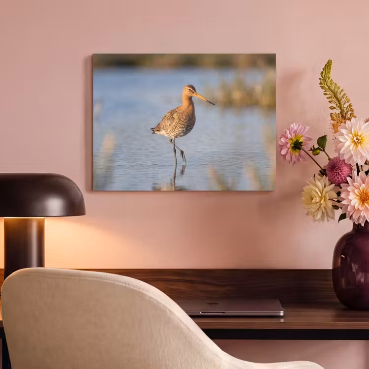 Akoestisch schilderij - Vogel - Steltloper - Water - Natuur — 4